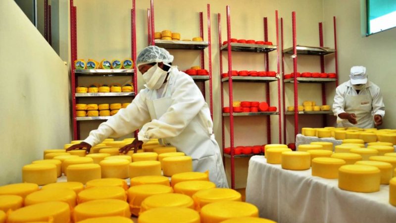 Manipulación responsable de quesos para abastecimiento gastronómico